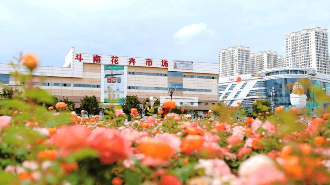 跟着赛事游昆明｜一路景观如画<strong></p>
<p>在哪个app买虚拟币</strong>！2025上合昆明马拉松路线图最新公布→