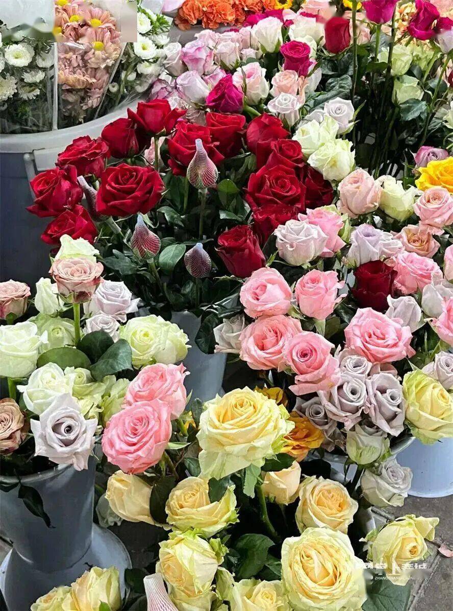 跟着赛事游昆明｜一路景观如画<strong></p>
<p>在哪个app买虚拟币</strong>！2025上合昆明马拉松路线图最新公布→