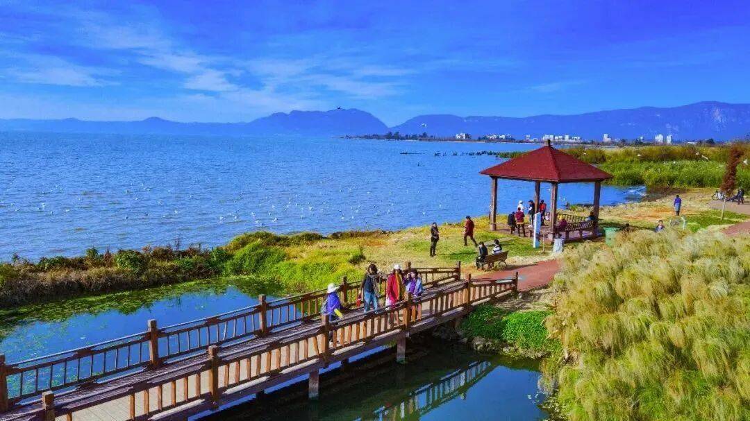 跟着赛事游昆明｜一路景观如画<strong></p>
<p>在哪个app买虚拟币</strong>！2025上合昆明马拉松路线图最新公布→