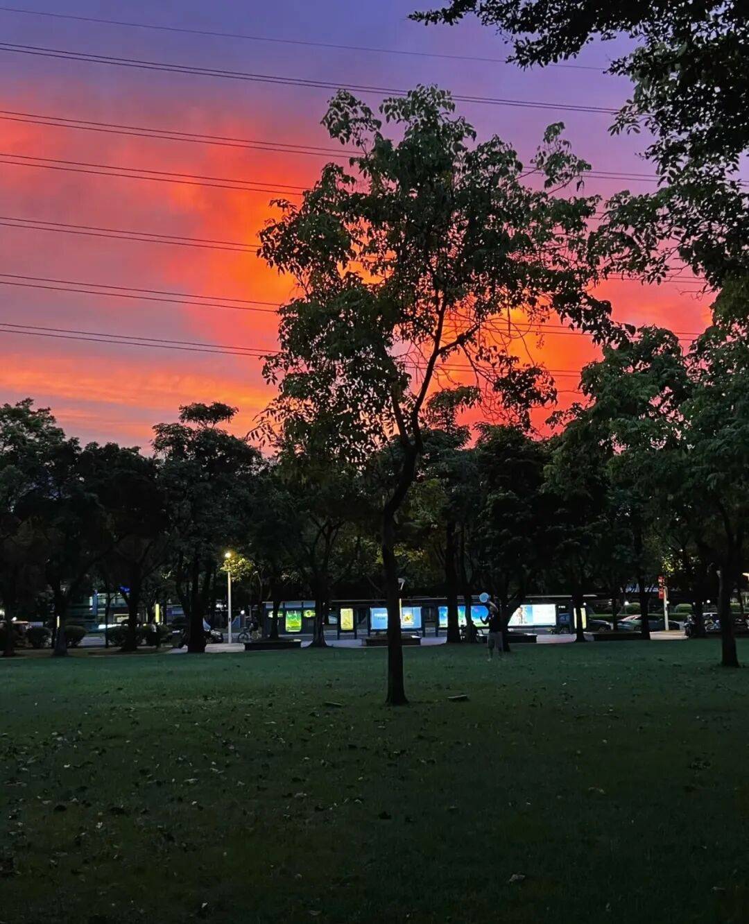 第一批丁克老后<strong></p>
<p>在哪个app买虚拟币</strong>，“伴侣能陪一程，但最后都要靠自己”