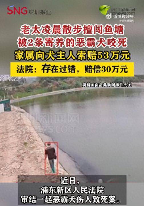 老太凌晨擅闯鱼塘被2条恶霸犬咬死<strong></p>
<p>在哪个app买虚拟币</strong>，家属索赔53万，法院判决！