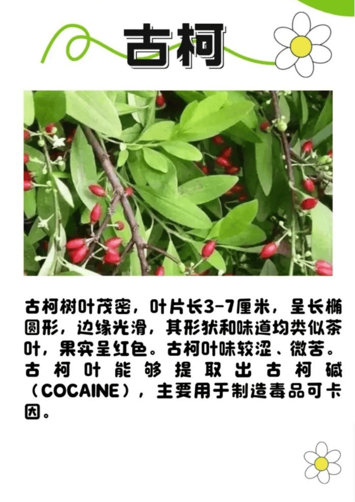 悬赏1500万美金！前奥运选手涉多起案件<strong></p>
<p>虚拟币线图讲解</strong>，被列入十大通缉犯