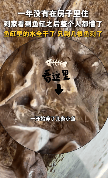 哈尔滨女子离家一年回家发现“活鱼变鱼刺”