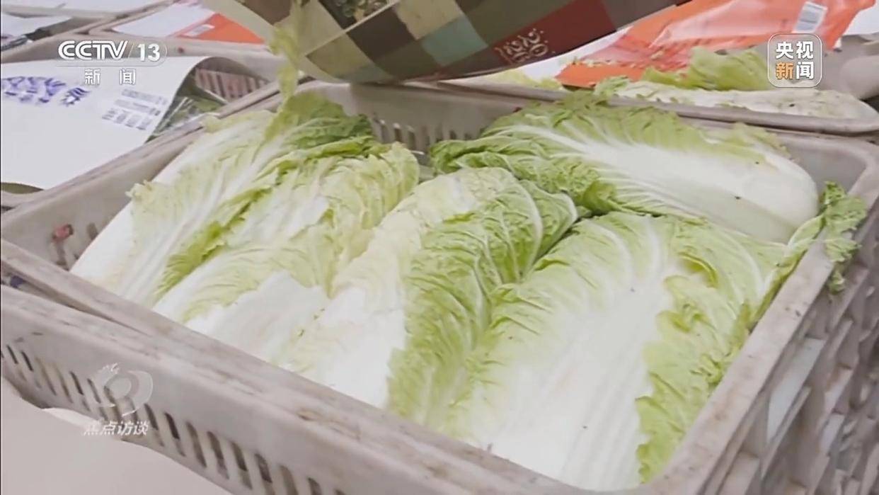 单棵售价超百元<strong></p>
<p>查询虚拟币</strong>，起底“套牌白菜”背后的销售套路