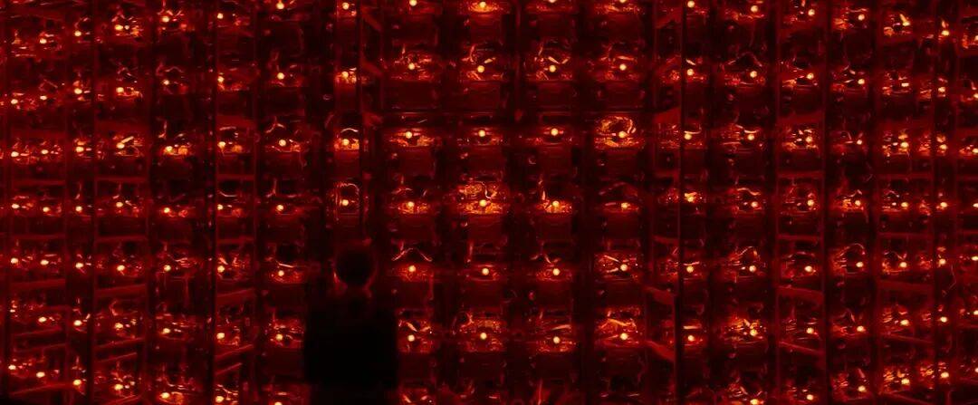 易烊千玺力撑票房但难抵上映口碑两极…《狂野时代》最大的“罪过”<strong></p>
<p>查询虚拟币</strong>，是难懂吗？