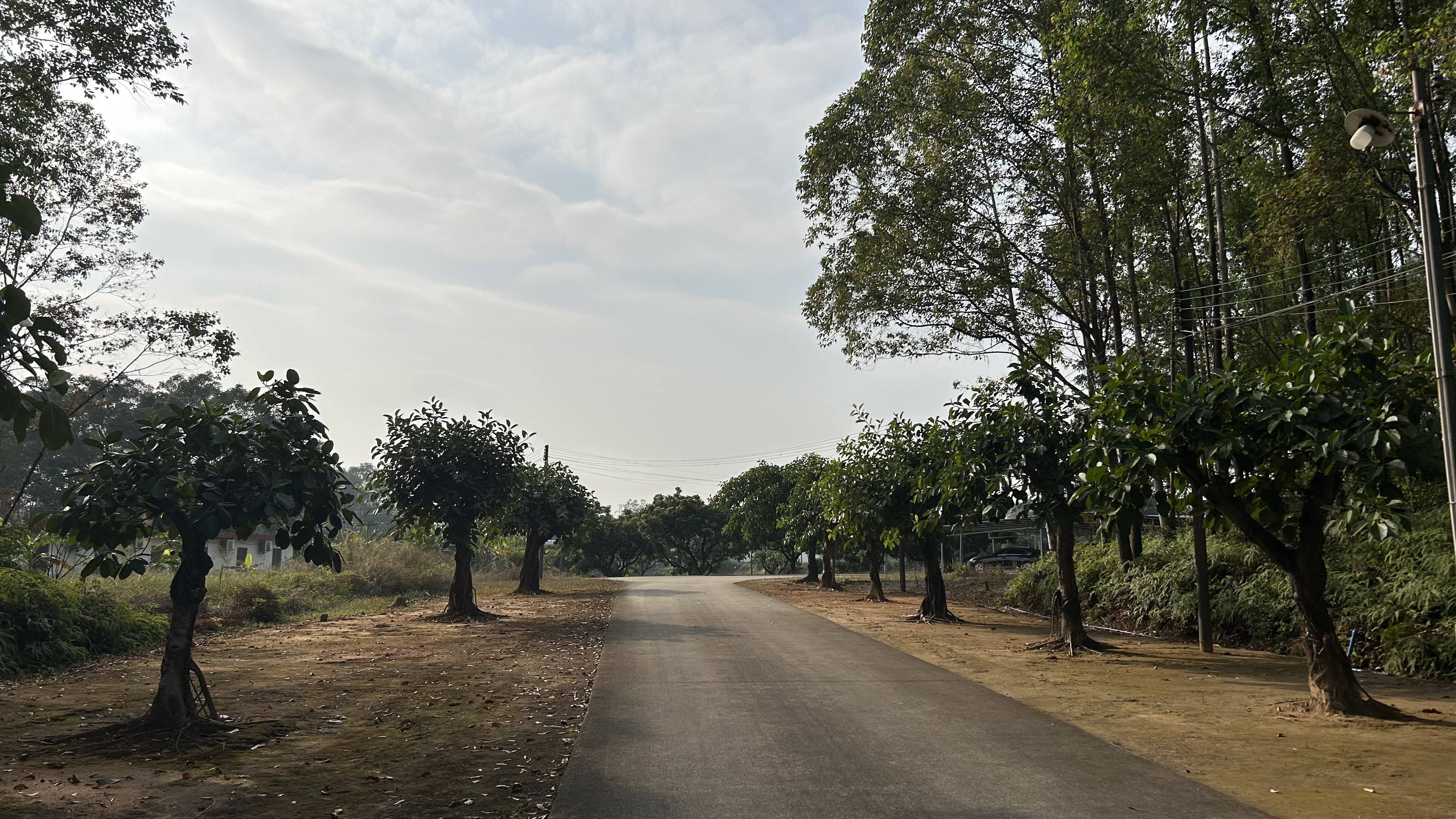 有价无猴！实验猴价格暴涨<strong></p>
<p>最新推出的虚拟币</strong>，有猴场明年的猴都被订光，繁殖率已跟不上｜调查