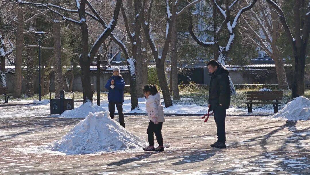 北京绿化带里用了二十年的板子<strong></p>
<p>甲骨文虚拟币的英文代码</strong>，今冬“下岗”了——