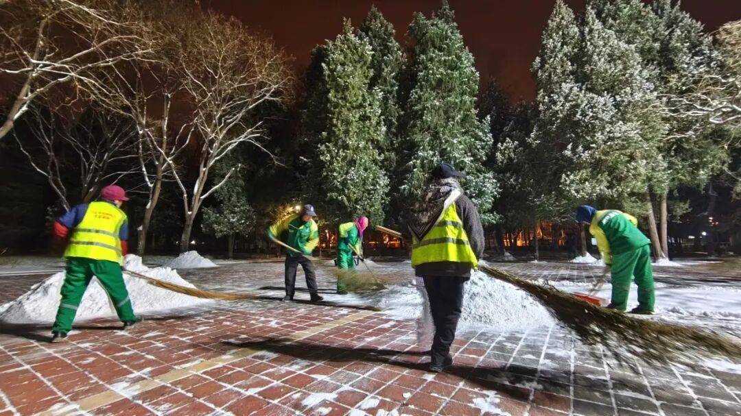 北京绿化带里用了二十年的板子<strong></p>
<p>甲骨文虚拟币的英文代码</strong>，今冬“下岗”了——