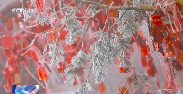 我国已经进入拉尼娜状态<strong></p>
<p>甲骨文虚拟币的英文代码</strong>，专家：可能出现冬春连旱