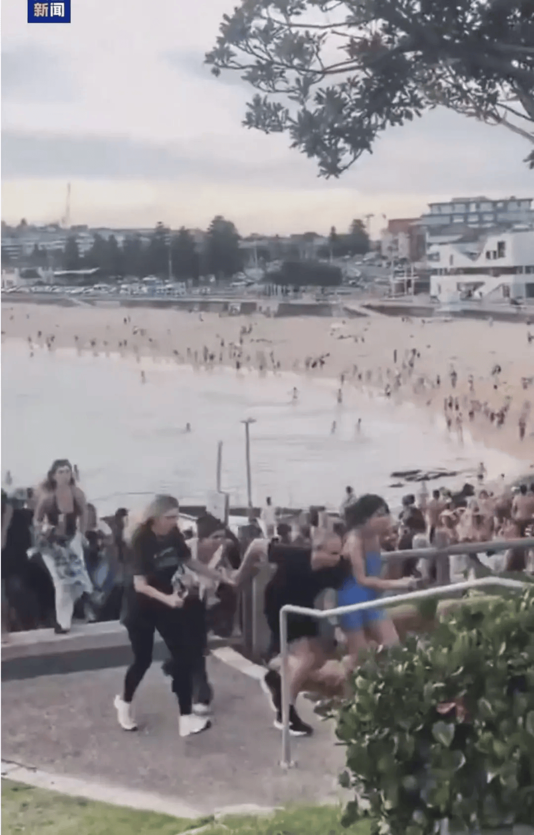 澳大利亚海滩枪击事件两名枪手为父子关系<strong></p>
<p>甲骨文虚拟币的英文代码</strong>，父亲50岁，儿子24岁！一名路人冒险夺枪反击，身中两弹，需接受手术