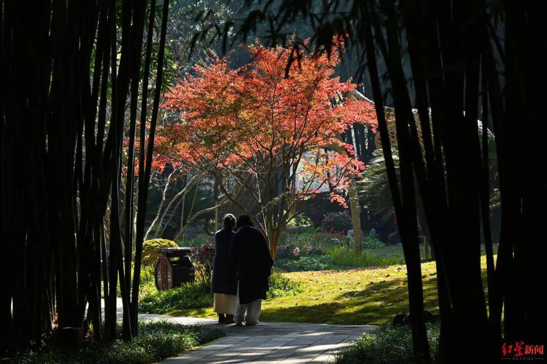 我国已进入拉尼娜状态<strong></p>
<p>关于区块链和虚拟币</strong>！四川今冬或“前暖后冷”