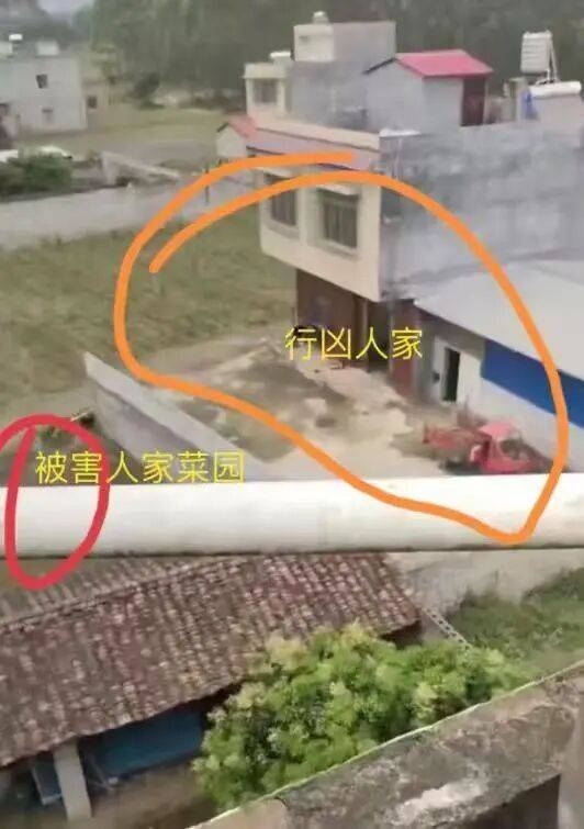 刚刚宣判：何某乖<strong></p>
<p>关于区块链和虚拟币</strong>，改判死刑！