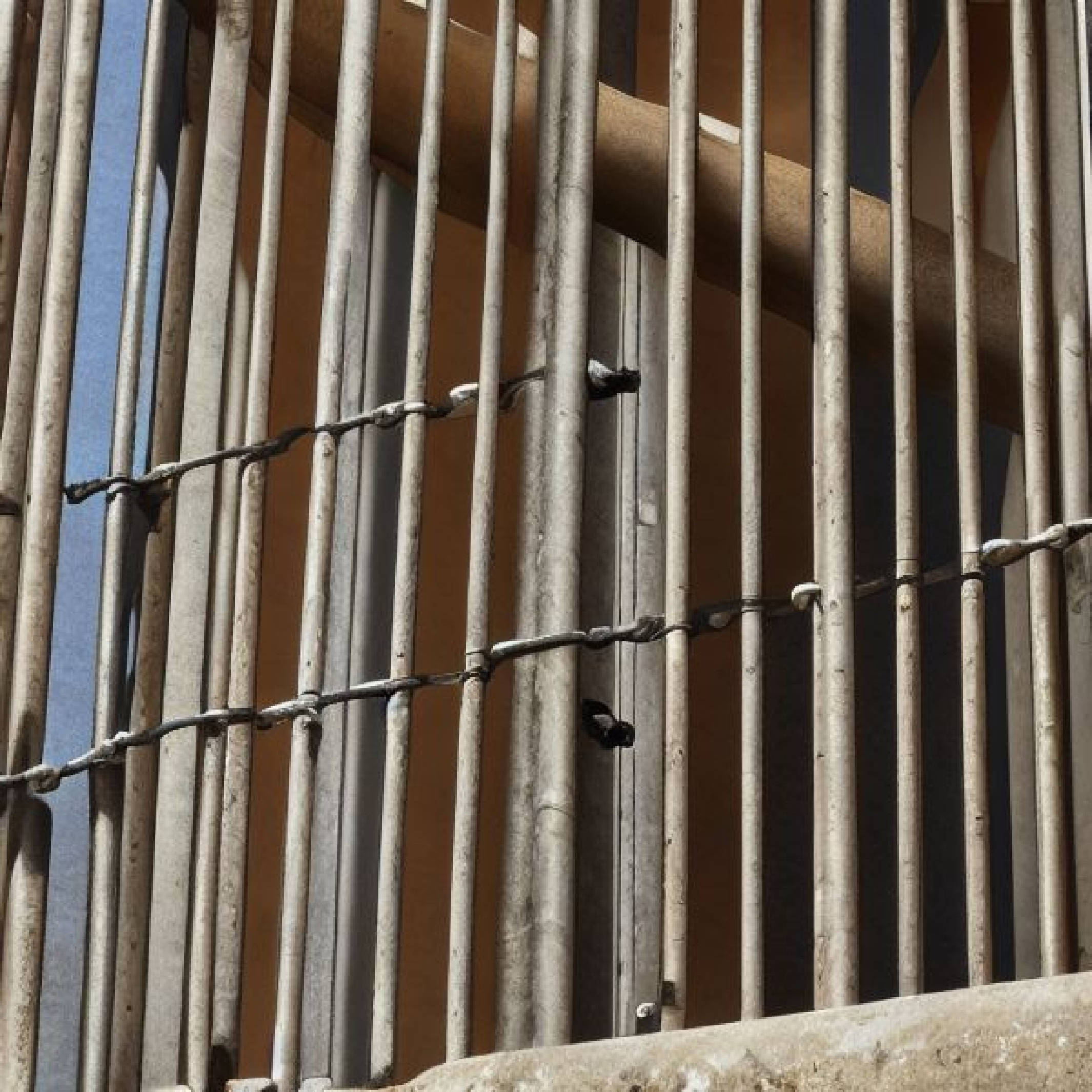 中国象棋“网暴者”一审获实刑6个月