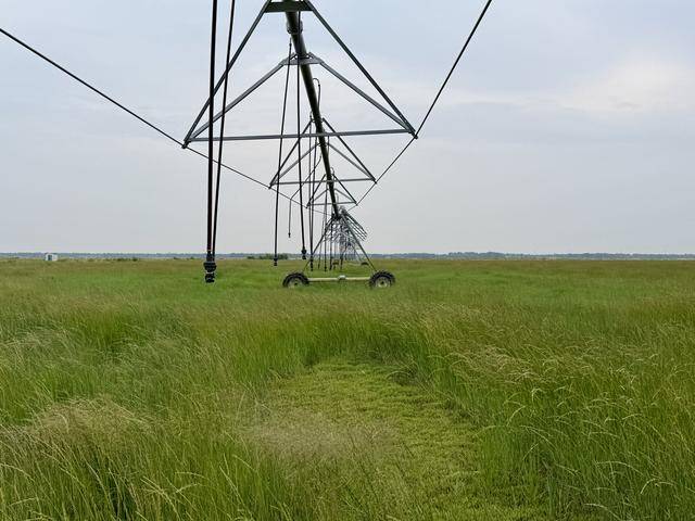 北京送到内蒙古的一株羊草<strong></p>
<p>关于区块链和虚拟币</strong>，入选了全球最佳减贫案例