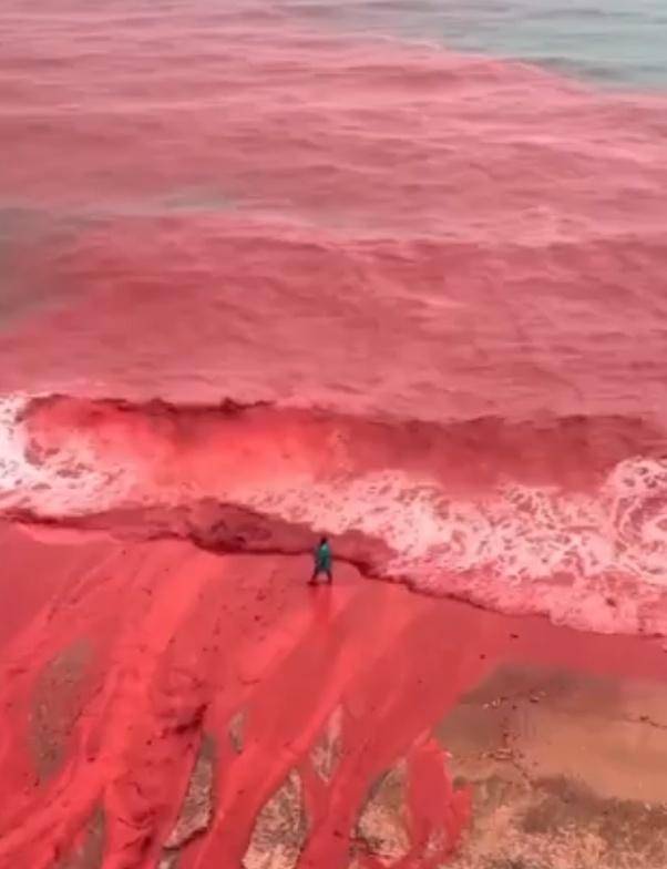 罕见！伊朗霍尔木兹岛遭遇强降雨<strong></p>
<p>虚拟币跟区块链的区别</strong>，部分海域变成“血色海洋”