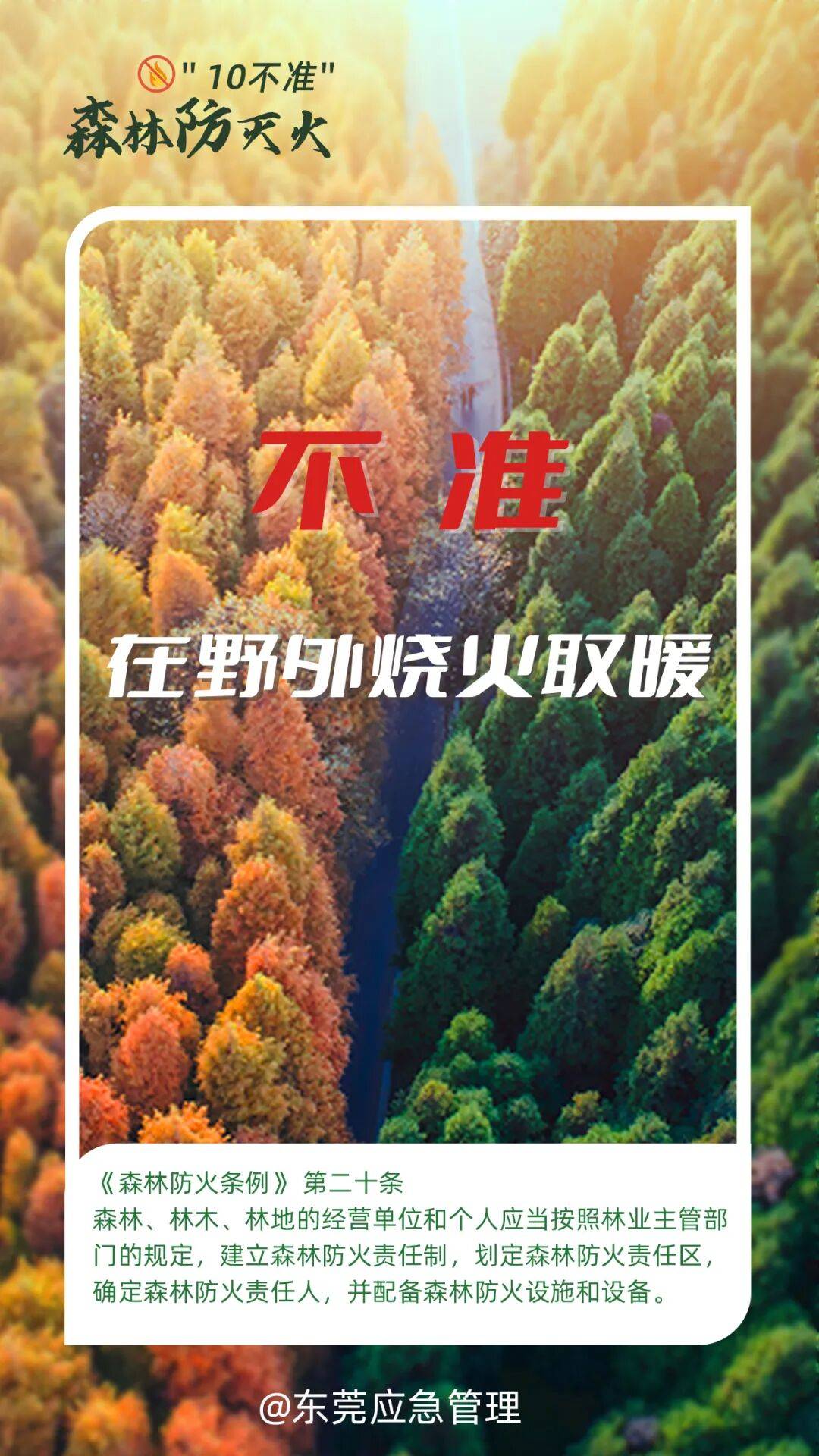 深圳坪山区突发山火<strong></p>
<p>供应链虚拟币</strong>,最新通报:明火已扑灭,无人员伤亡