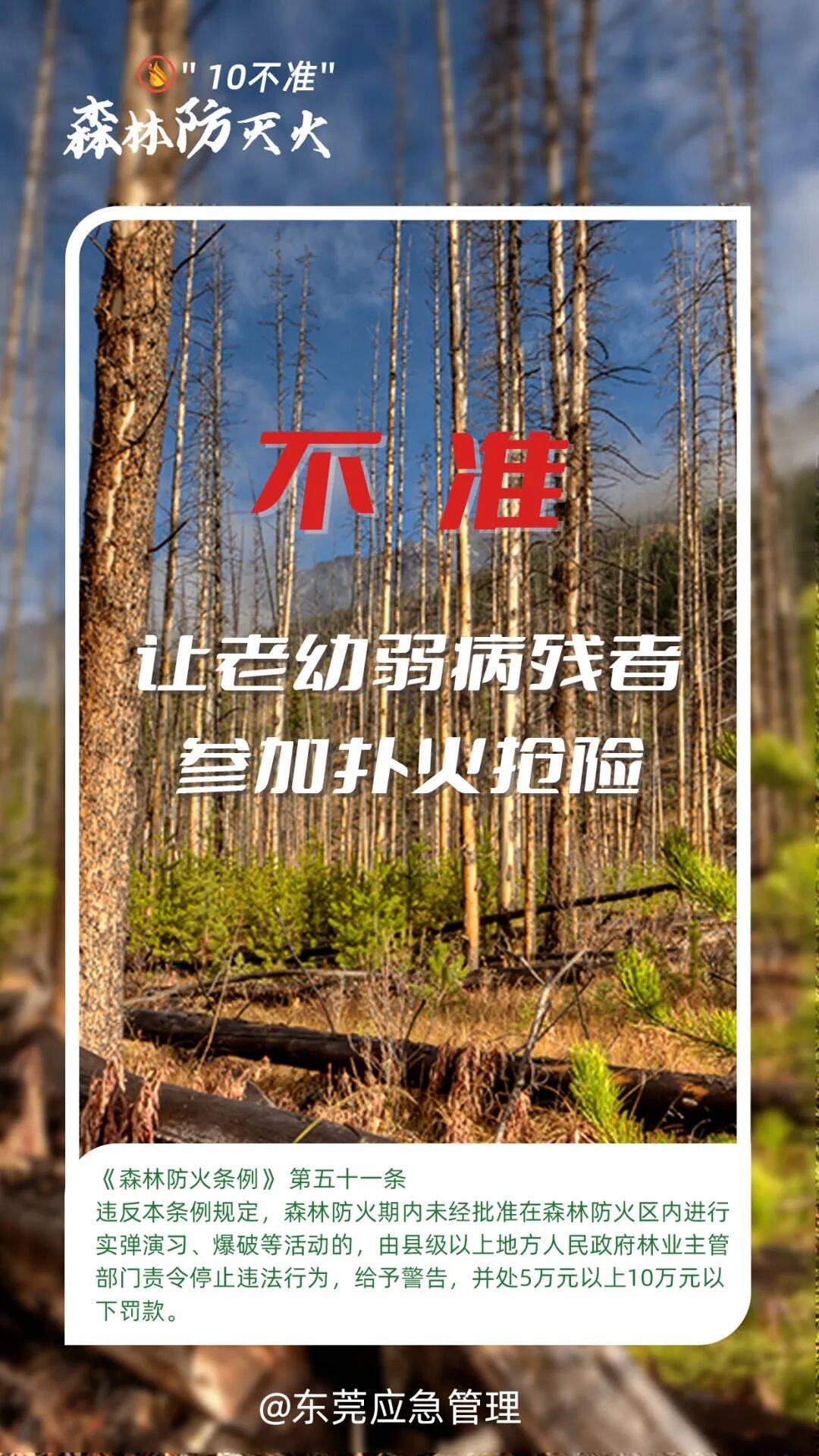 深圳坪山区突发山火<strong></p>
<p>供应链虚拟币</strong>,最新通报:明火已扑灭,无人员伤亡