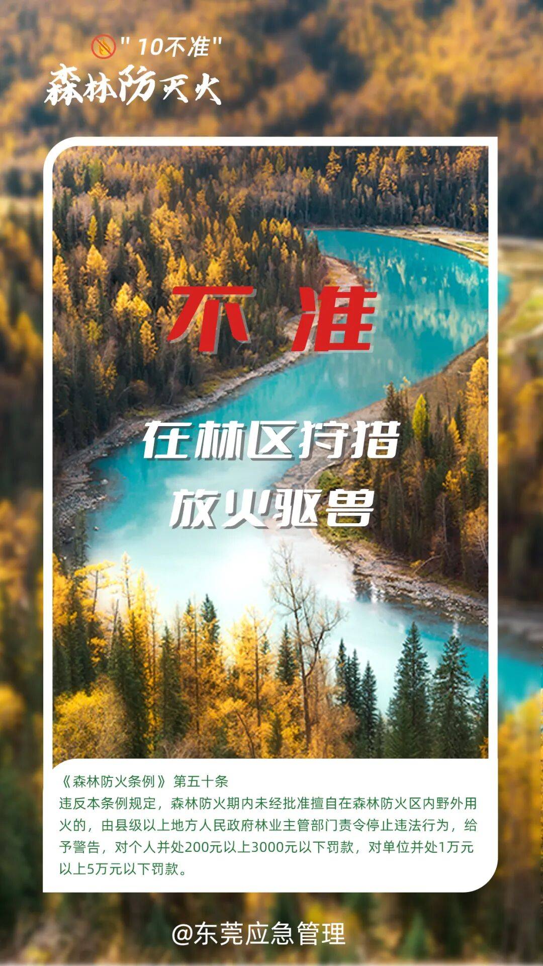深圳坪山区突发山火<strong></p>
<p>供应链虚拟币</strong>,最新通报:明火已扑灭,无人员伤亡