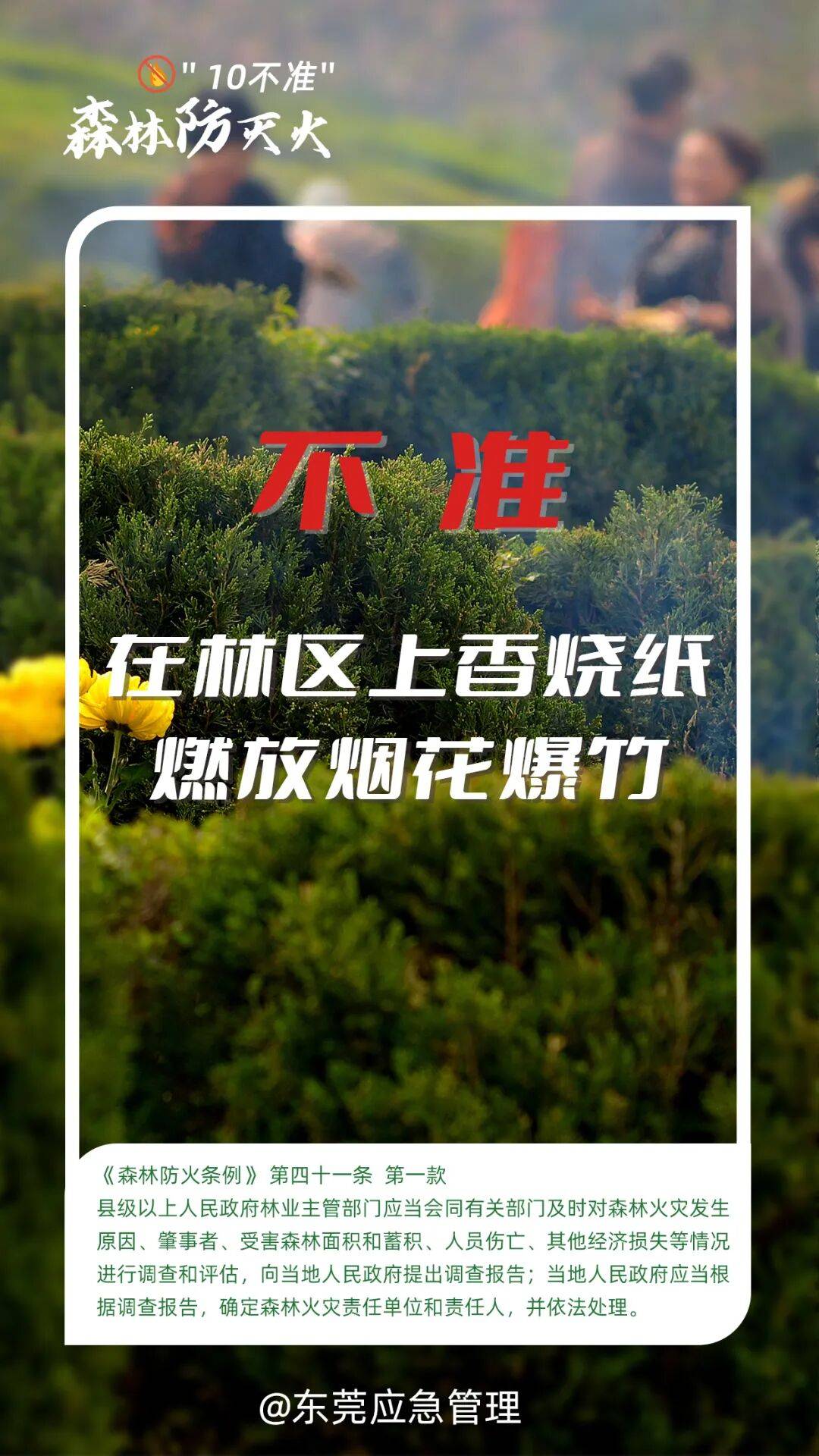 深圳坪山区突发山火<strong></p>
<p>供应链虚拟币</strong>,最新通报:明火已扑灭,无人员伤亡