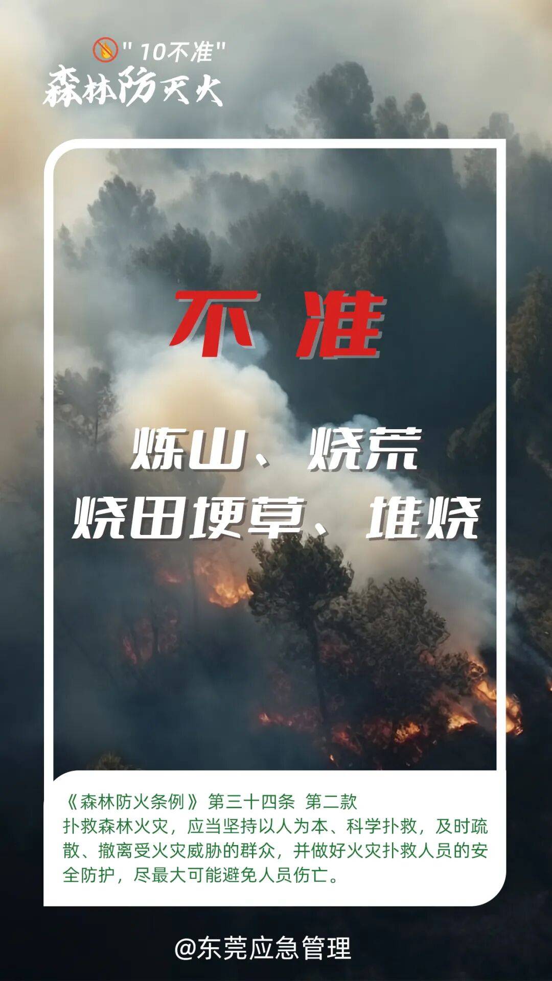 深圳坪山区突发山火<strong></p>
<p>供应链虚拟币</strong>,最新通报:明火已扑灭,无人员伤亡