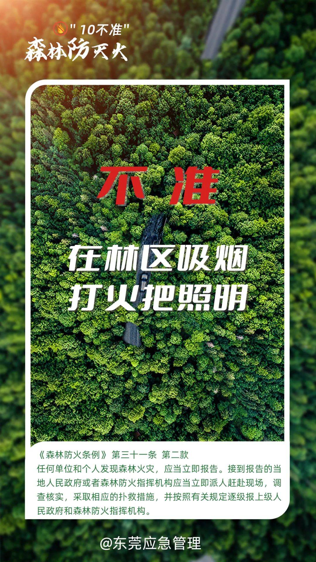 深圳坪山区突发山火<strong></p>
<p>供应链虚拟币</strong>,最新通报:明火已扑灭,无人员伤亡