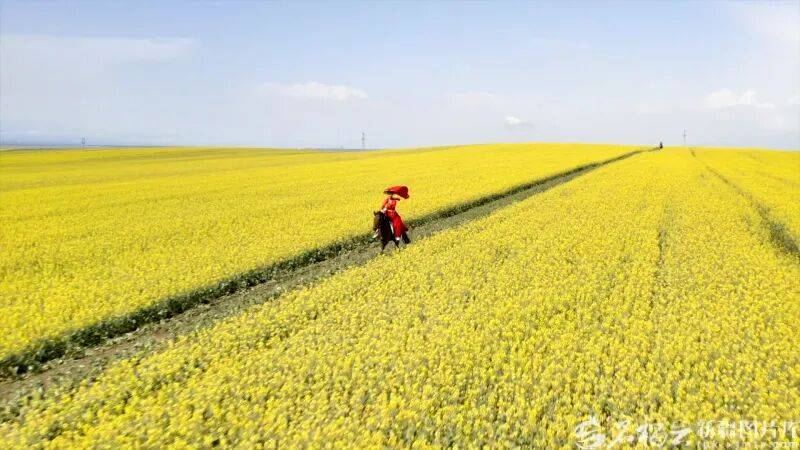 贺娇龙已安葬于昭苏公墓<strong></p>
<p>其他虚拟货币比特币</strong>,其父亲亦葬于此地