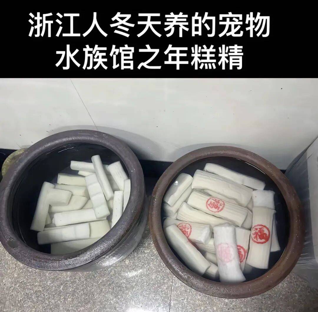 “养年糕”养到发烂发臭<strong></p>
<p>凤币虚拟币</strong>，浙江人的噩梦来了