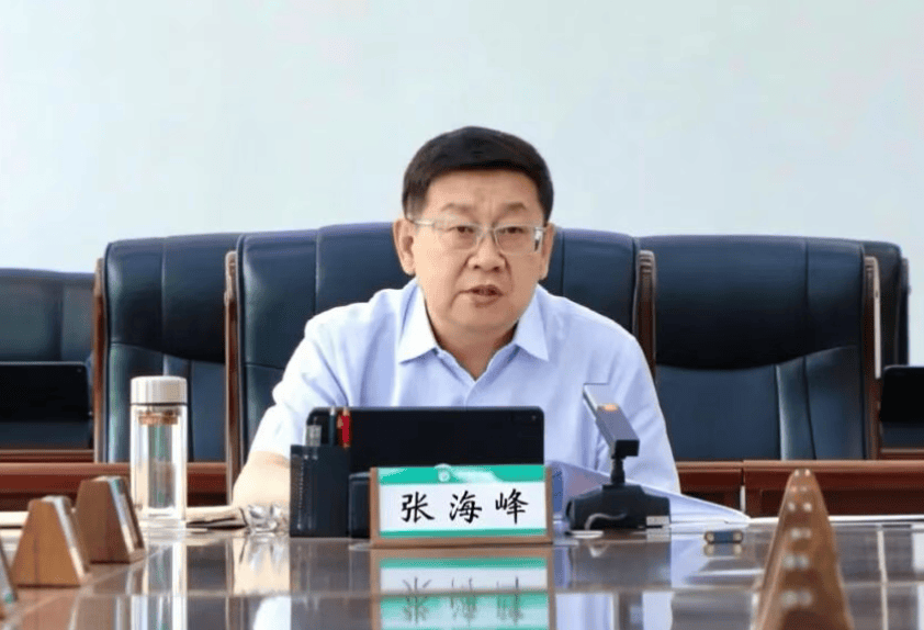 涉嫌严重违纪违法<strong></p>
<p>USDT交易平台</strong>，张海峰被查